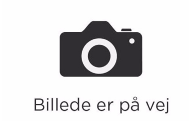  Annemette  Lindegaard Christiansen 